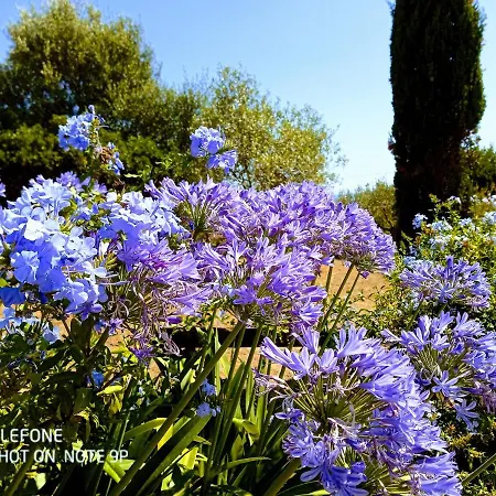 Arcamyrtus Country house Alghero