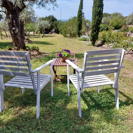 Εξοχικό σπίτι Arcamyrtus