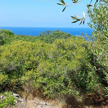 Εξοχικό σπίτι Arcamyrtus *