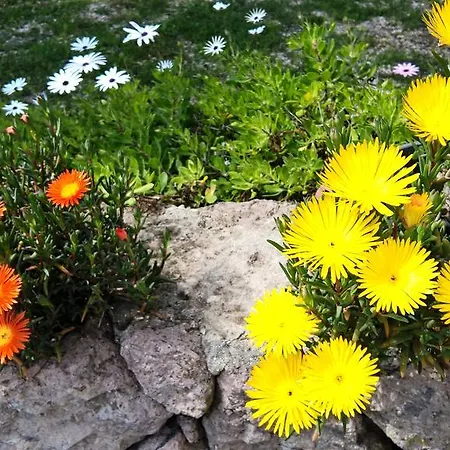 Arcamyrtus Εξοχικό σπίτι