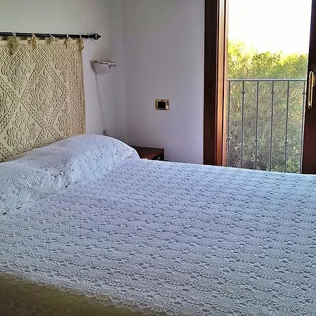 Arcamyrtus Αλγκέρο