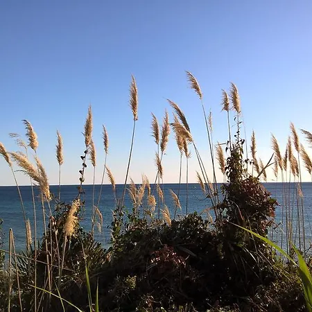 Arcamyrtus Alghero