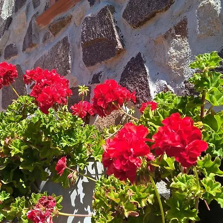 Εξοχικό σπίτι Arcamyrtus