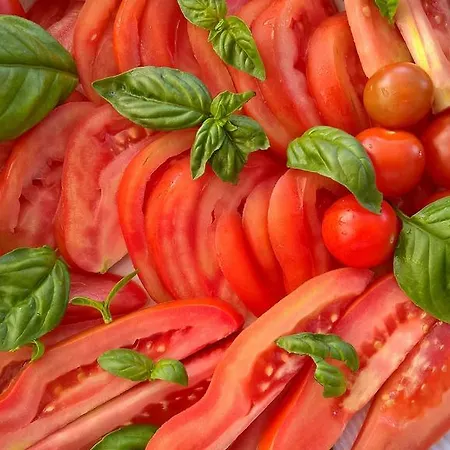 Arcamyrtus Εξοχικό σπίτι *