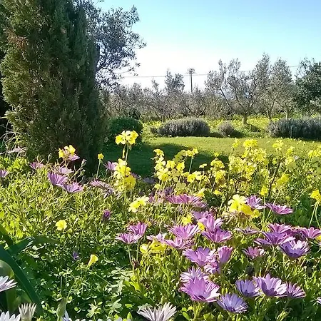 Country house Arcamyrtus Alghero