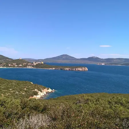 Arcamyrtus * Alghero
