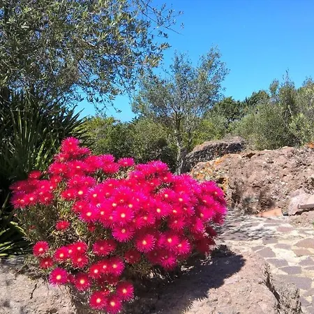 Arcamyrtus Alghero