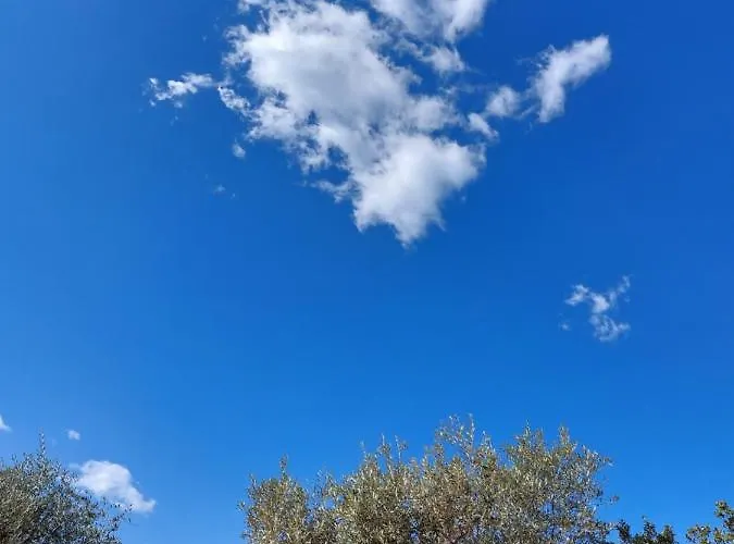 Arcamyrtus * Alghero