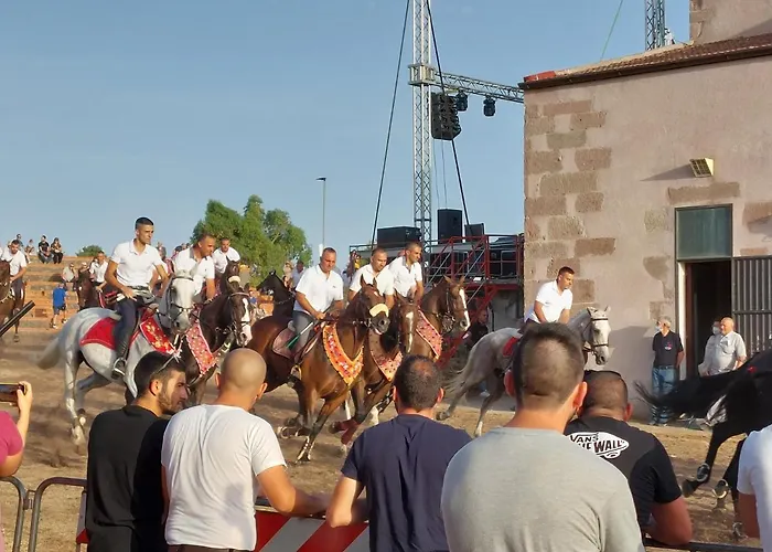 Landsted Arcamyrtus Alghero