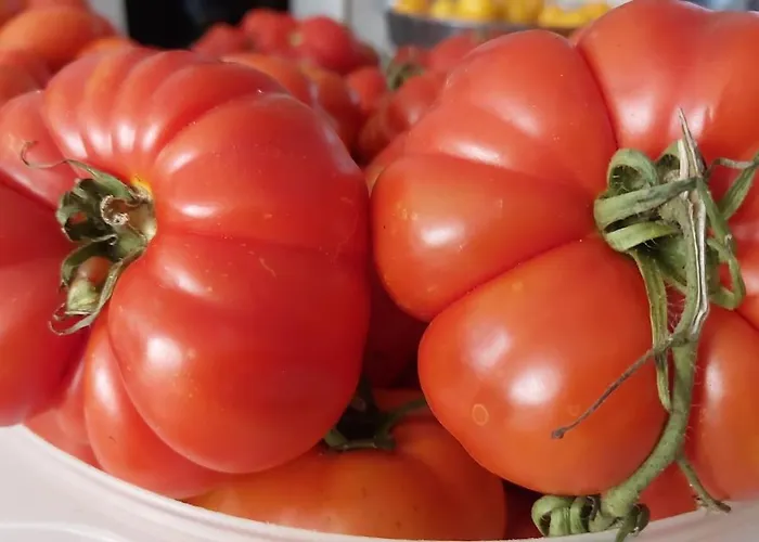 Arcamyrtus Landhaus *