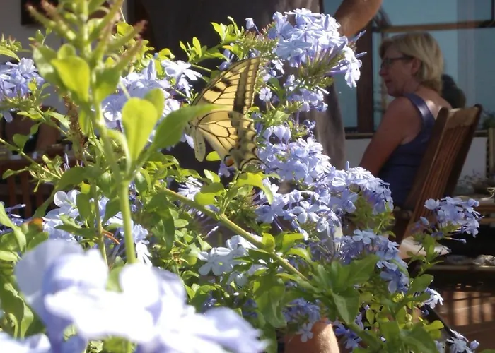 Arcamyrtus * Alghero