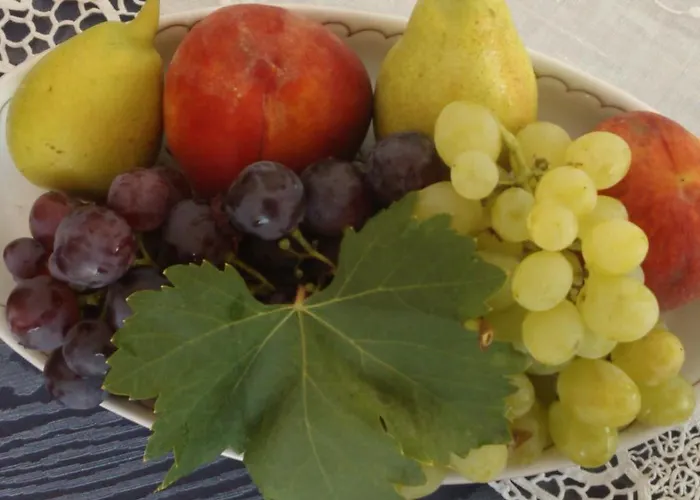 Arcamyrtus * Alghero