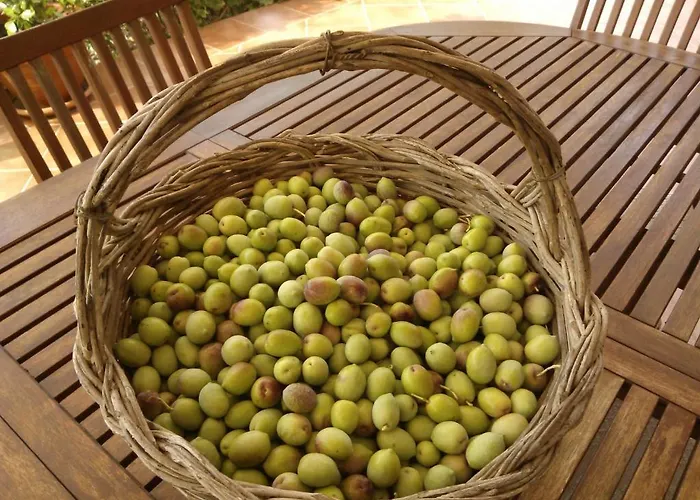 Landhaus Arcamyrtus *