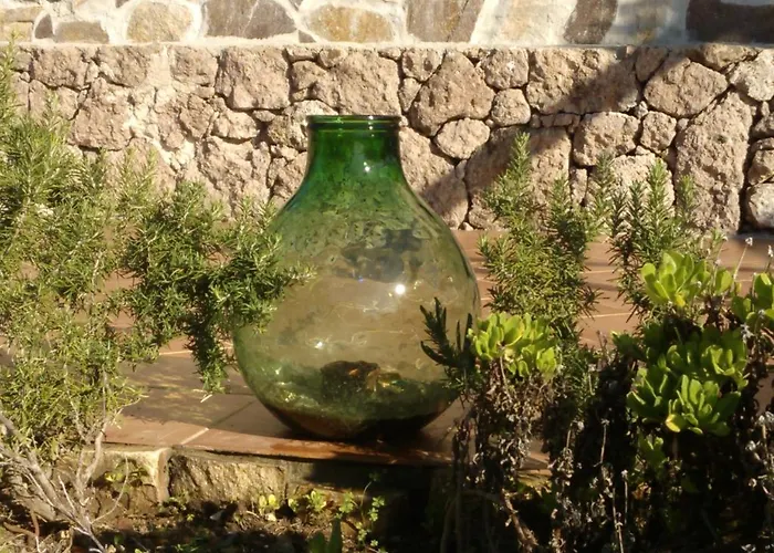 Arcamyrtus * Alghero