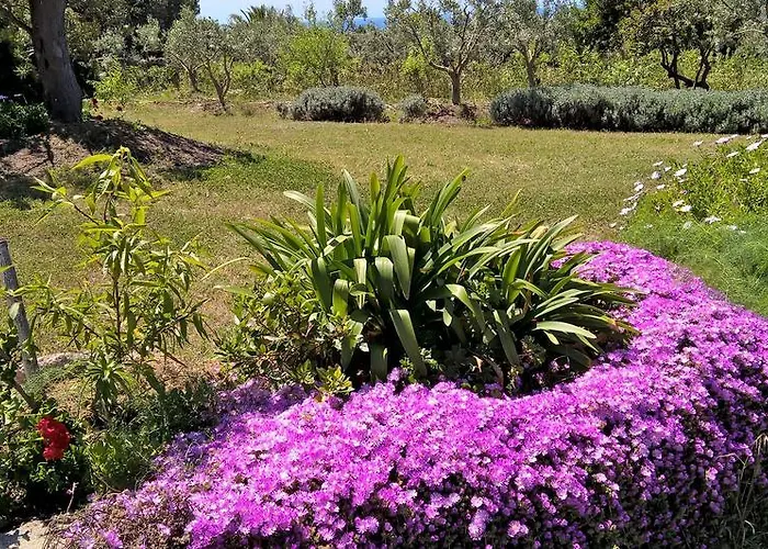 Landhaus Arcamyrtus Alghero