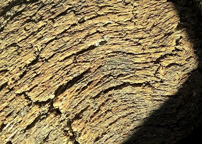 Landhaus Arcamyrtus *