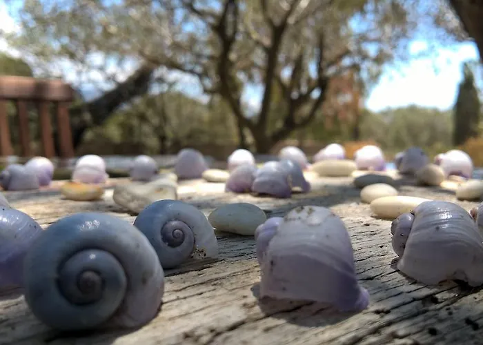 Landhaus Arcamyrtus *