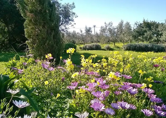 Landhaus Arcamyrtus Alghero