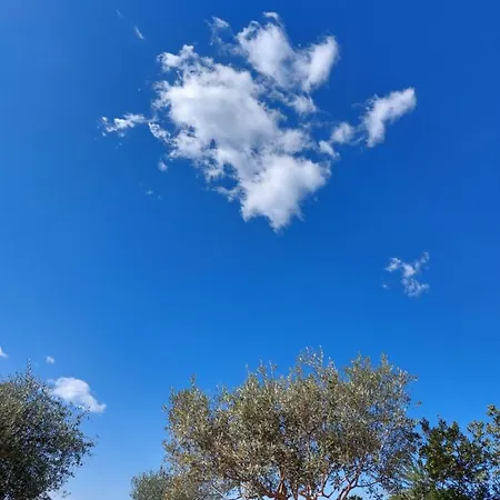 Arcamyrtus * Alghero