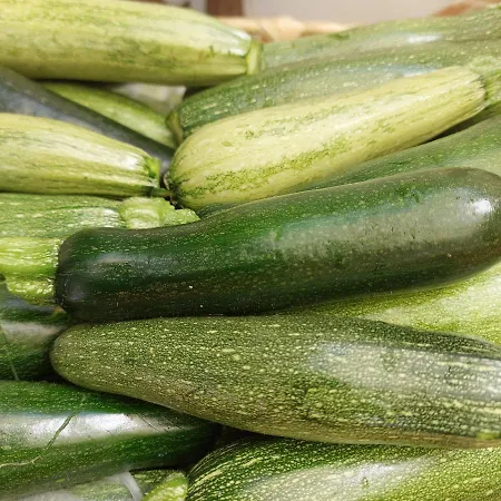 Lantställe Arcamyrtus