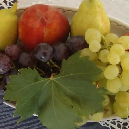 Arcamyrtus * Alghero