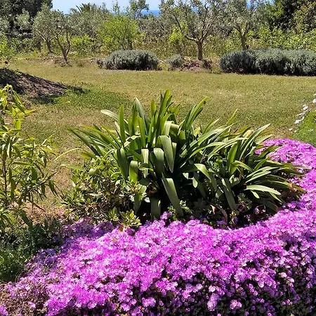 Landsted Arcamyrtus Alghero