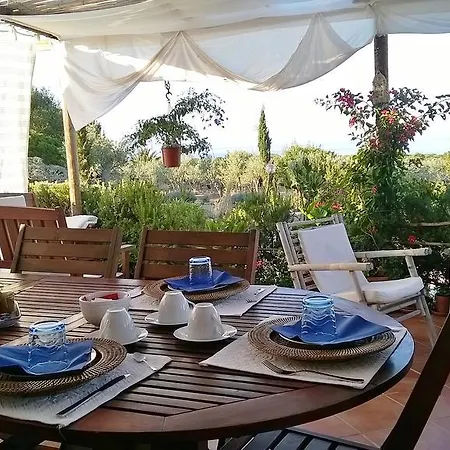 Landsted Arcamyrtus *